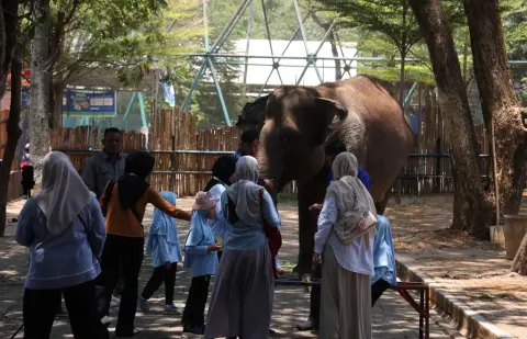 Semarang Zoosynyň haýwan idegçileri söýgi we sadakaty bilen tanalýar