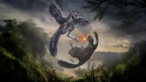150 million ýyllyk guş dinozawr dişleri we geň siri bilen tapyldy