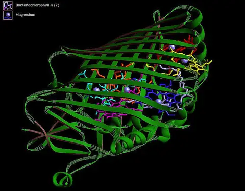 Protein dizaýninde tebigy dil ulanylyşy we genom programmalary