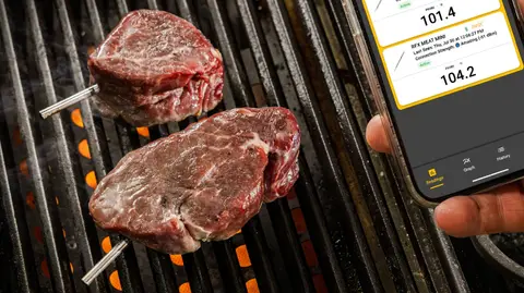 ThermoWorks RFX Meat Mini: kiçi et bölekleri üçin gysga simsiz termometr