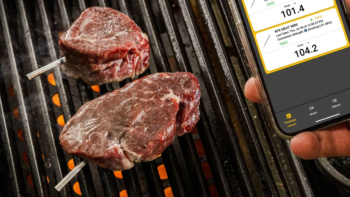 ThermoWorks RFX Meat Mini: kiçi et bölekleri üçin gysga simsiz termometr